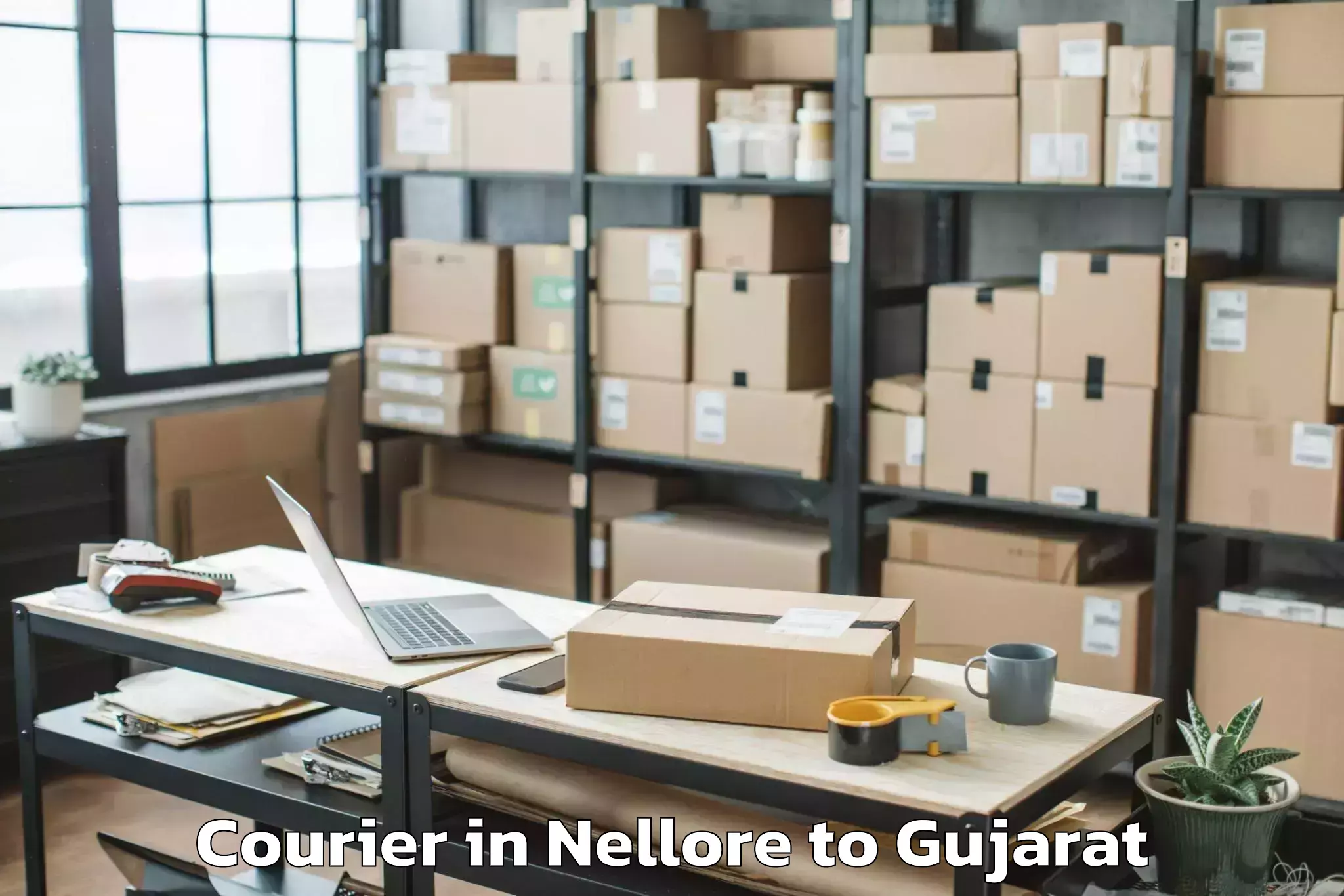 Book Nellore to Gujarat University Ahmedabad Courier Online